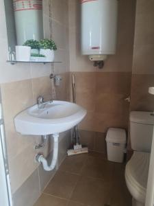 un baño con lavabo e inodoro en Apartments Ivelin, en Lozenets 33 fotos más