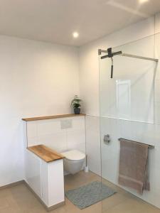 une salle de bains avec toilettes et douche en verre dans l'établissement Altstadt Apartment, à Pattensen 5 autres photos