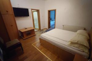 a bedroom with a bed and a television in it at Pensiunea San in Arad