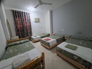 Un pat sau paturi într-o cameră la david hostel