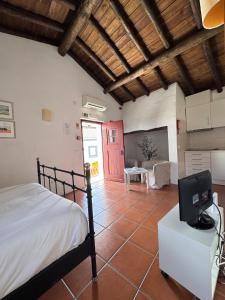 a bedroom with a bed and a tv in a room at Casinha do Chafariz - Casas da Amieira in Amieira