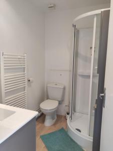 Koupelna v ubytování Terrasse plein ciel, 10 minutes gares et centre-ville, parking