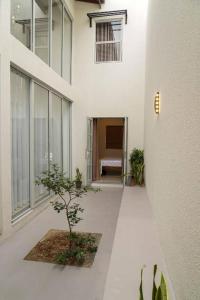a hallway of a white building with a tree in it at Willow Way Inn Entire House in Negombo