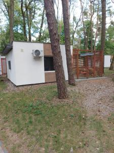 a small white house with a tree in the yard at W sosnowym lesie in Lubniewice