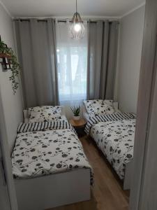 a bedroom with two beds and a window at W sosnowym lesie in Lubniewice