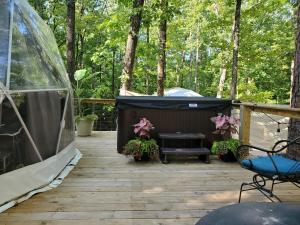 Un jardín fuera de The Glamp Inn 11 fotos más