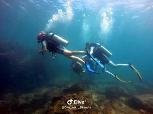 Hosté ubytování Sajee Residence Trincomalee + 37 fotografií