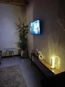 TV a/nebo společenská místnost v ubytování Nada house