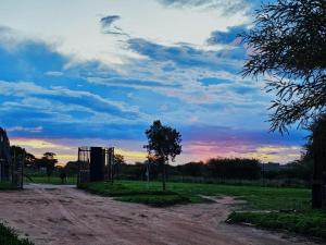 a dirt road with a tree and a cloudy sky at Unique Overnight Polokwane Eco-Friendly & Solar Powered in Polokwane +2 photos