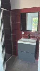 ein Badezimmer mit Waschbecken, Spiegel und Dusche in der Unterkunft Appartement en cœur de village au pied du château avec 2 balcons in Alba-la-Romaine