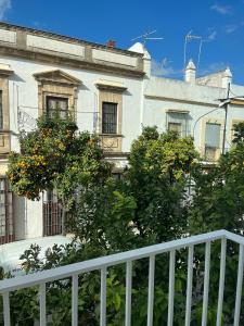 Zahrada ubytování Casa El Puerto