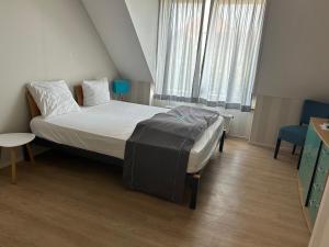 Afbeelding uit fotogalerij van Residence De Kaaipoort appartementen in Aardenburg