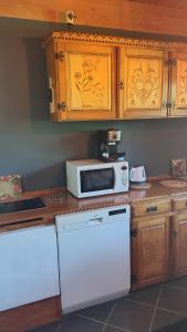 a kitchen with a counter with a microwave and a refrigerator at Zacisze in Kościelisko +10 photos