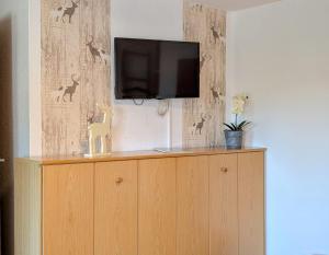 โทรทัศน์และ/หรือระบบความบันเทิงของ weißer Hirsch im Haus Sabine