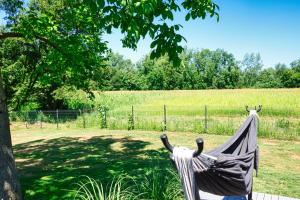 Zahrada ubytování Relax Apartma