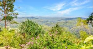 Blick auf die Berge mit Bäumen und Blumen in der Unterkunft Maleny-Montville Cottages #2, 2 bed with ocean views in Balmoral Ridge + 7 Fotos