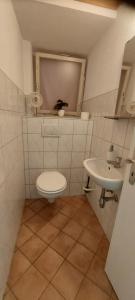 a bathroom with a toilet and a sink at Ferienwohnung Dürmentingen Viola in Dürmentingen +3 photos