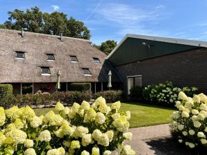 a building with a bunch of flowers in front of it at De Veurdeale in Havelte