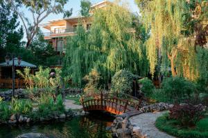 Zahrada ubytování Dreamland Oasis