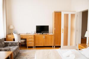 TV a/nebo společenská místnost v ubytování Hotel Pod Zeleným Dubem