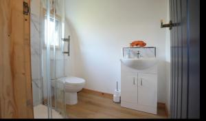 GlenluceThe Galloway Steading - The Fox's Den with Hot Tub and Fire Pit的带马桶和水槽的白色浴室