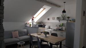 Kuchyň nebo kuchyňský kout v ubytování Studio apartman GRIZZLY