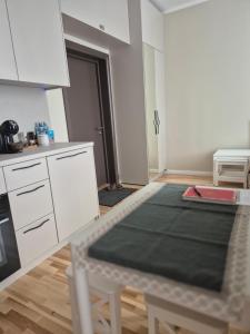 Η κουζίνα ή μικρή κουζίνα στο Ieva's PEARL in Riga heart
