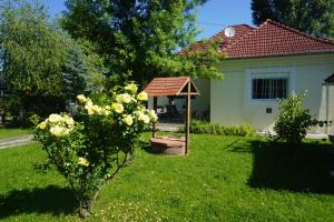 A garden outside Villa Ida