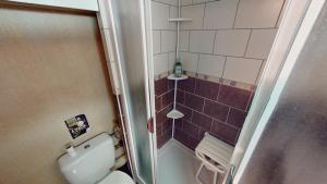 ein kleines Badezimmer mit Toilette und Dusche in der Unterkunft Escapade Familiale en Montagne in Métabief + 9 Fotos
