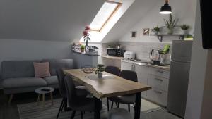 Kuchyň nebo kuchyňský kout v ubytování Studio apartman GRIZZLY