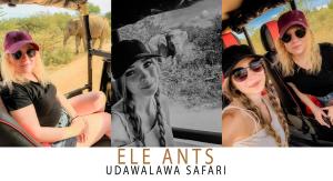 Fotografie z fotogalerie ubytování Ele Ants v Udawalawe