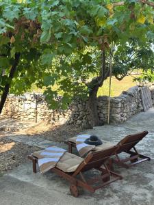 Ein Garten an der Unterkunft Apartmani Luka & Iva