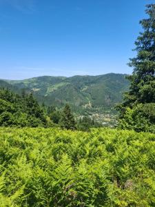 Gallery image of Анничка in Khorotsova