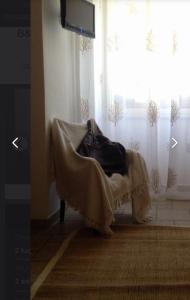 Foto dalla galleria di M'Hutel a Sorso