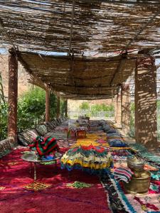 Zahrada ubytování Saida Berber House
