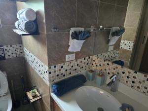 Koupelna v ubytování ocsoasis
