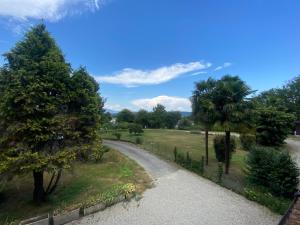 a path through a park with a palm tree and a road at Affittacamere La Quiete in Arona