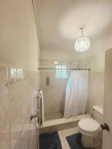 a bathroom with a toilet and a shower at Melrose Villa in Mandeville