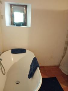 a bathroom with a bath tub with a blue towel on it at La Bergerie en Provence in Puimichel