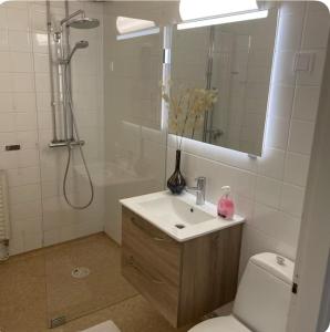 Koupelna v ubytování Doppingvägen 3 apartment 1 + 8 fotografií
