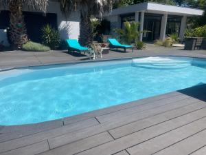 a dog standing in front of a swimming pool at Maison vue panoramique et accès SPA in La Réole