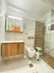 Un baño con inodoro, lavabo y ducha. en Jiovanni, en Parga 50 fotos más