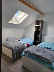 a bedroom with two beds and a skylight at Gîte 2 à la ferme in La Croix-en-Brie
