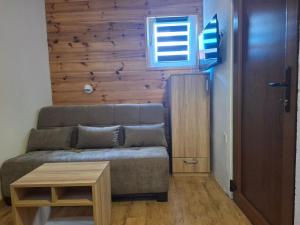 Area soggiorno di Rondović Apartmani - Durmitor