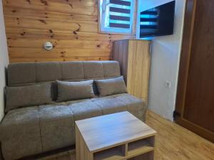 un soggiorno con un divano e un tavolo di Rondović Apartmani - Durmitor a Žabljak