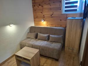Area soggiorno di Rondović Apartmani - Durmitor