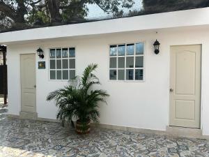 a white house with two doors and a plant at Hotel CastilloMar in Cartagena de Indias