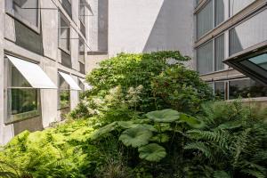 Vườn quanh Nomad Design & Lifestyle Hotel