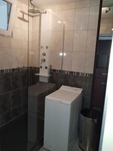łazienka z prysznicem, toaletą i pralką w obiekcie T2 50M2 BELLE VUE CALME CENTRE PORT PARKING w Cap d'Agde