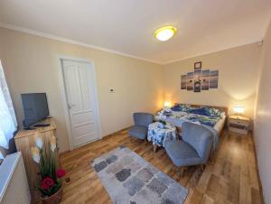 una camera con letto, sedia e televisore di Holiday home in Poroszlo - Theiss-See 43133 a Poroszló